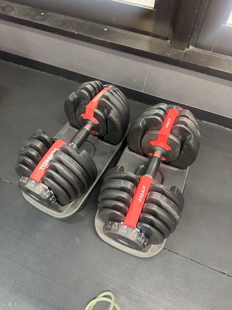 PowerBlock Adjustable Dumbbells 2個セット PowerBlock 90 lb Adjustable Dumbbell Set (Elite EXP 90